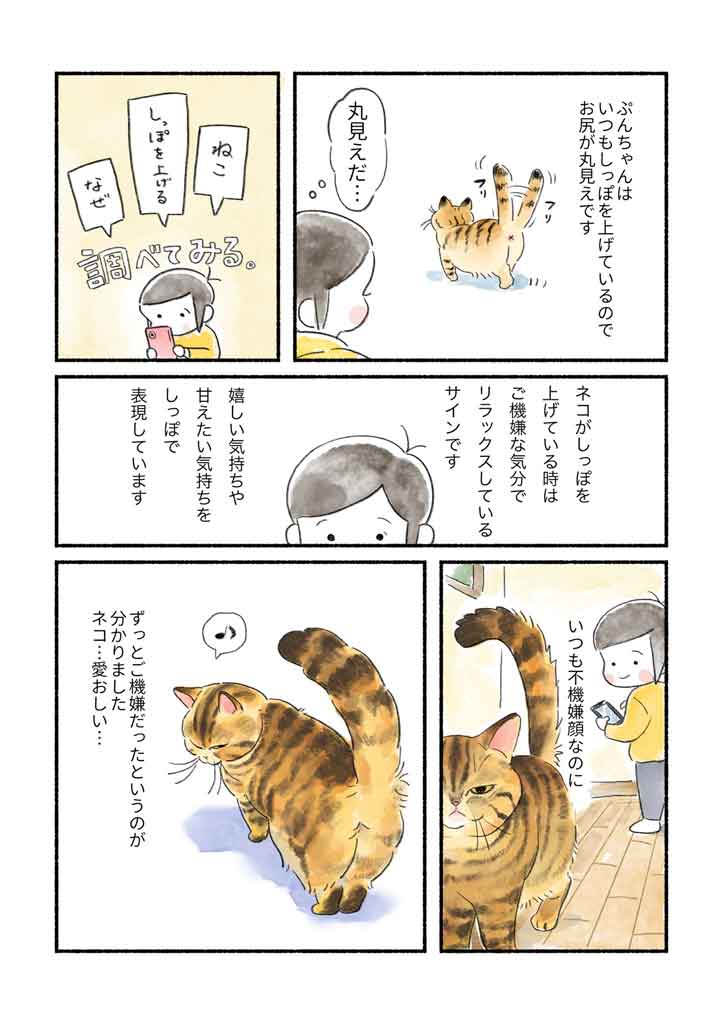 【画像提供：山麦まくら（@makura_yamamugi）さん】