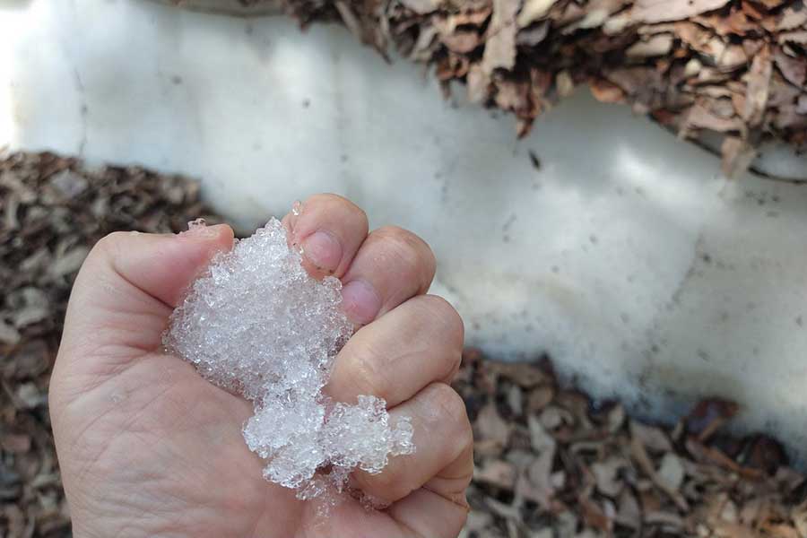 5月なのに…思わず「3度見した」ものの正体は、まさかの雪【写真提供：すず姉@きのこ版（@suzu_kinokobook）さん】