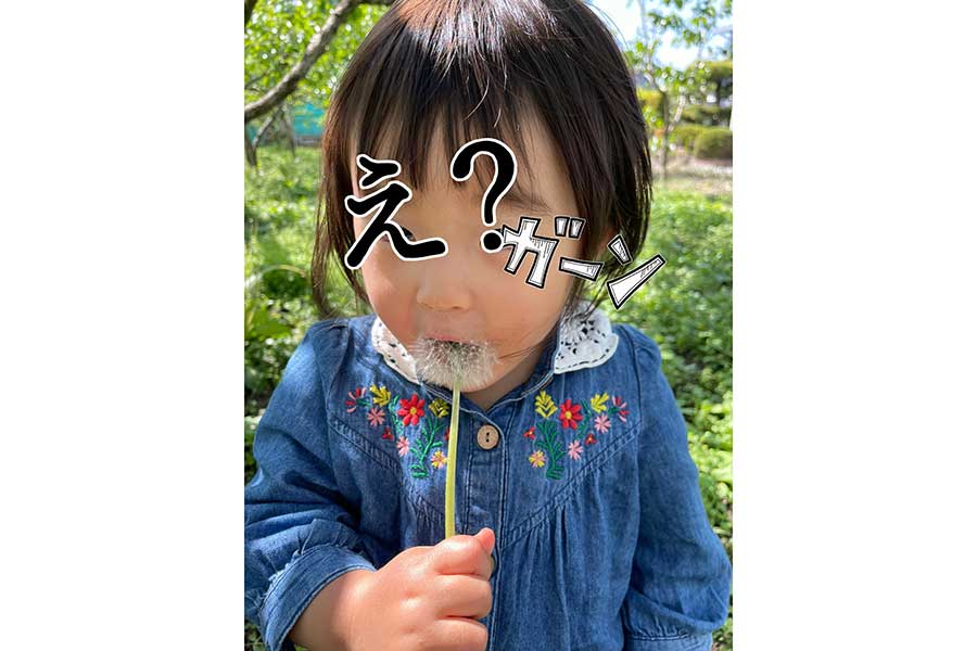 綿毛を吹き飛ばすのかと思いきやパクリ【写真提供：もちこ（@mochi1121mochi）さん】