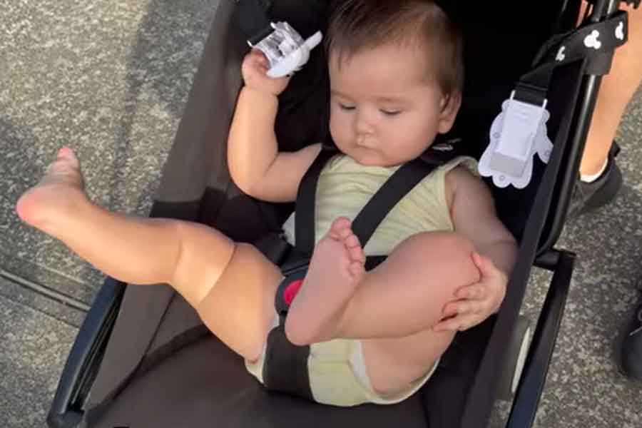 虫がいるのを発見したノアくんが声をかけると、両足を上げて接触を避ける賢いレイラーニちゃん（画像はスクリーンショット）