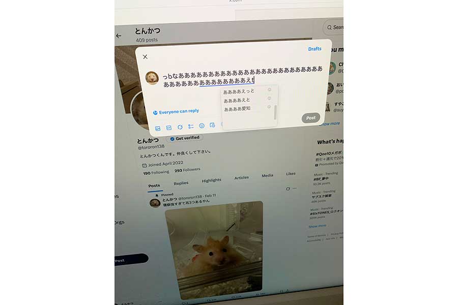 とんかつくんが実際に入力した文字【写真提供:とんかつ(@tororon138)さん】