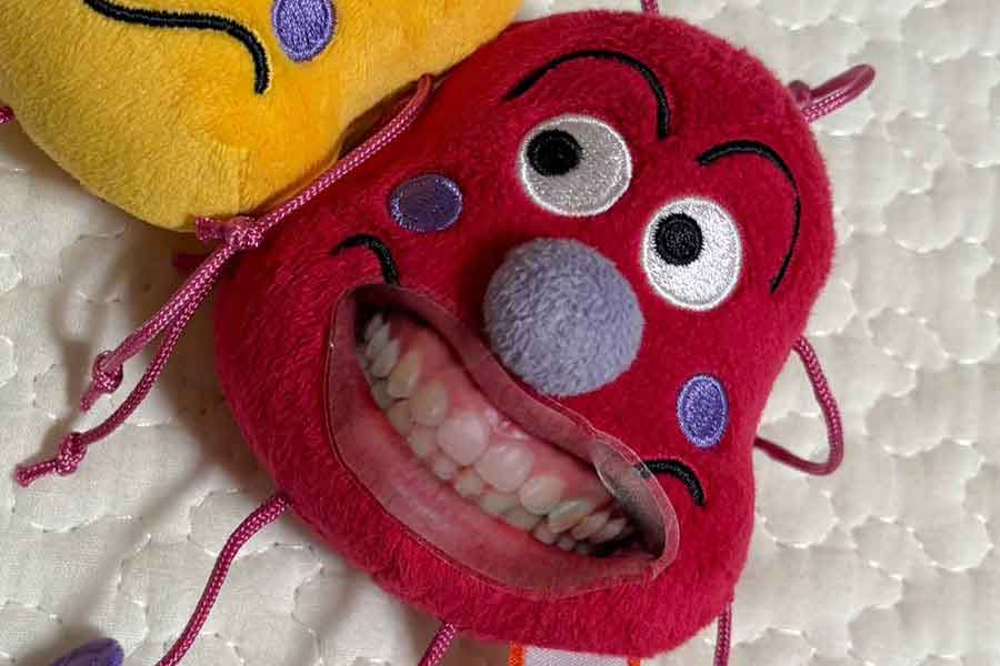 口元にシールが貼られたかびるんるんのぬいぐるみに、ねたろうさんは爆笑【写真提供：ねたろう3y0y（@srj_mama）さん】