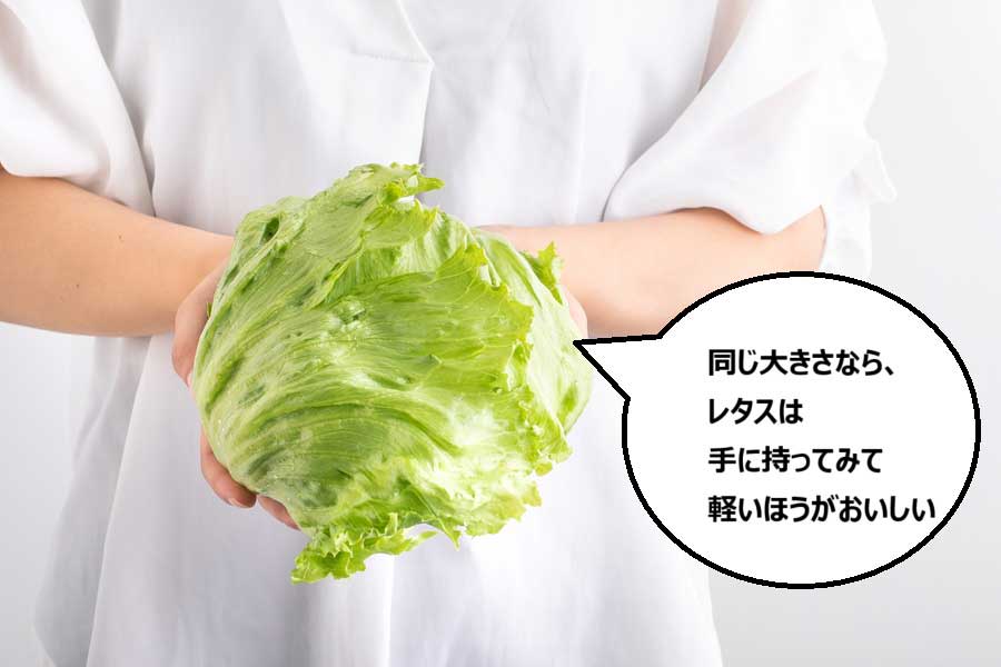 【画像：写真ACよりHint-Pot編集部作成】