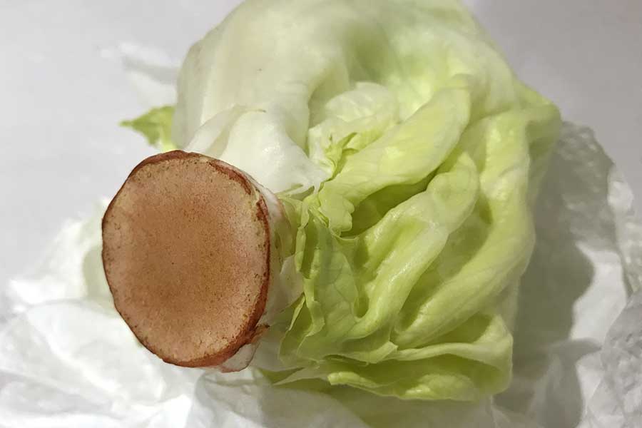 ポリフェノールが酸化酵素の働きによって反応し、変色したレタスの芯（写真はイメージ）【写真：写真AC】