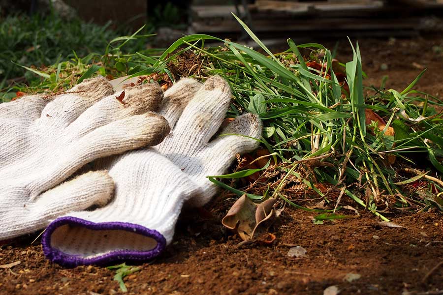 むしった草を山積みにしていると、蚊の棲み処になることが（写真はイメージ）【写真：PIXTA】