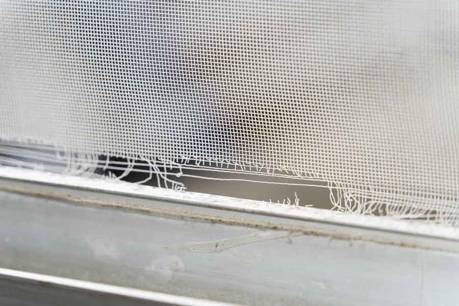 網戸の汚れや破れは蚊が侵入するもとに。定期的なメンテナンスを（写真はイメージ）【写真：PIXTA】