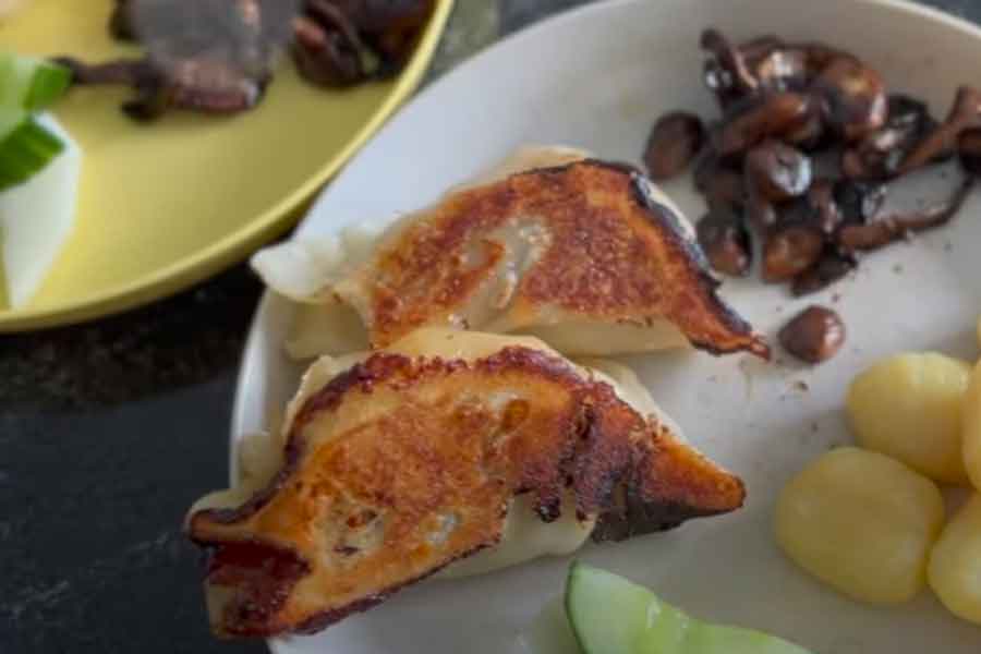 子どもたちが「もっと」と連呼したAmiさん手作りの焼き餃子（画像はスクリーンショット）