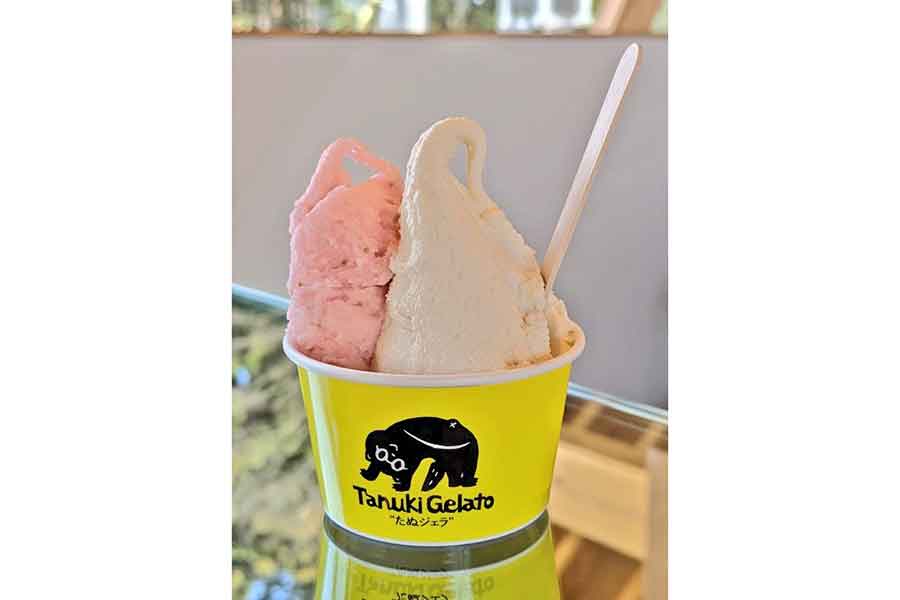 ジェラート販売をする「たぬき社」を創設するなど、さまざまな取り組みを行っている【写真提供：パフまりこ　たぬき社/稲作本店（@farm1739）さん】