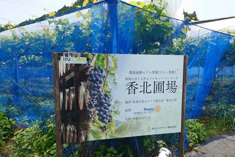 地域と一体でのワインづくりが進行中【写真：芳賀宏】