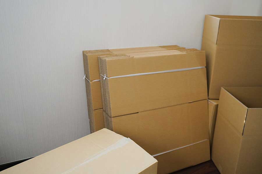 ゴキブリは雑食性のため、段ボールがエサになる場合も（写真はイメージ）【写真：写真AC】