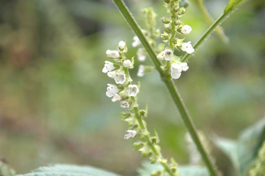 【写真：写真AC】