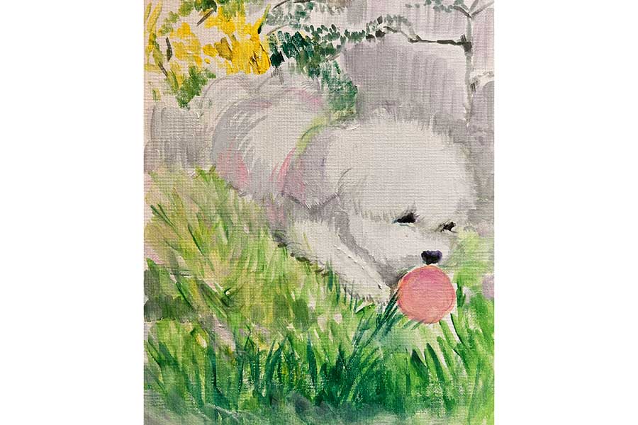 投稿者さんが一番好きな作品【写真提供：形が定まらない犬（@papoter_dog）さん】