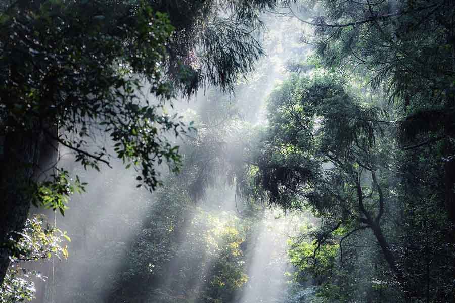雨上がりの朝、光の筋の下には美しい光景が【写真提供：aki（@aki_goodspeed）さん】