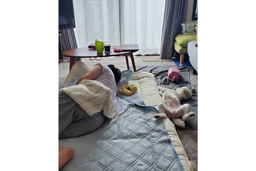 一緒に爆睡する飼い主さんと小夏くん【写真提供：イヌカワ（@inukawatama）さん】