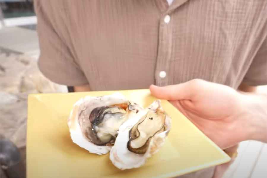 広島の名産のカキ（スクリーンショット）