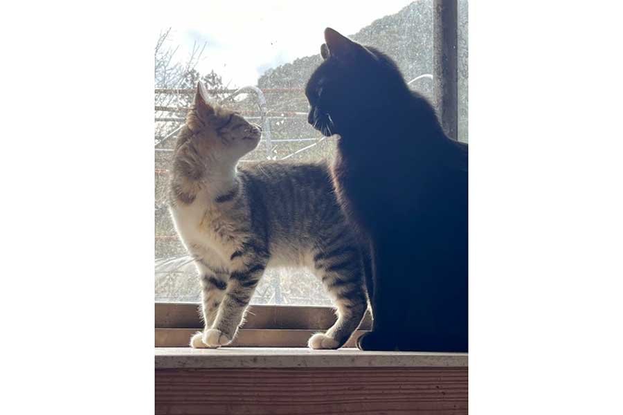 見つめ合う（左から）ミオちゃんと長次郎さん【写真提供：佐々崎　笹仕（@xu_mp1）さん】