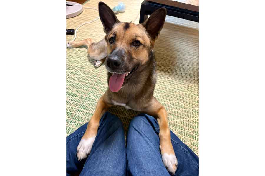 笑顔で飼い主さんに甘えるばつ丸くん【写真提供：あや（@Biihyo）さん】