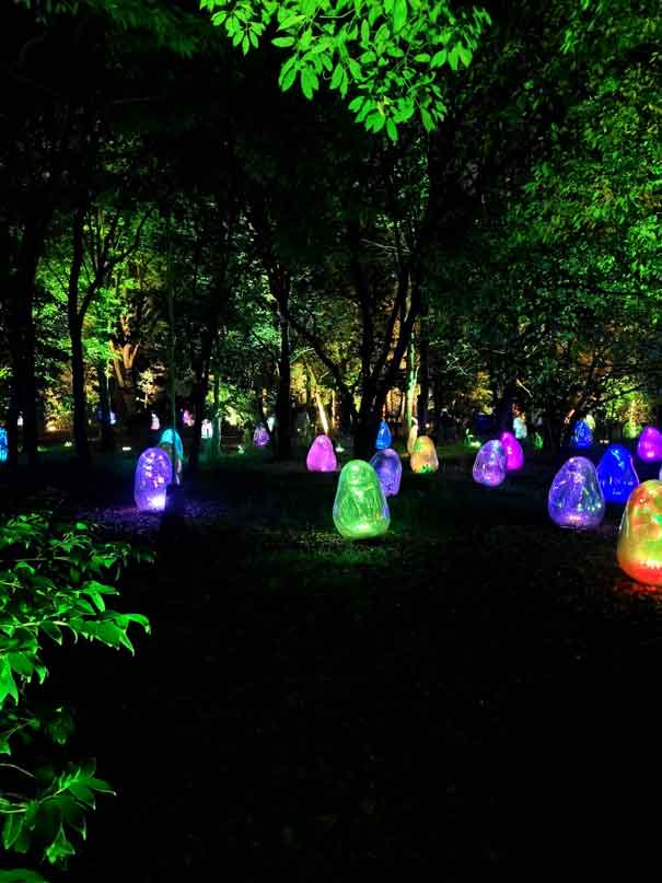 大阪市長居植物園にて【写真提供：プリニオ・マチェッラ】