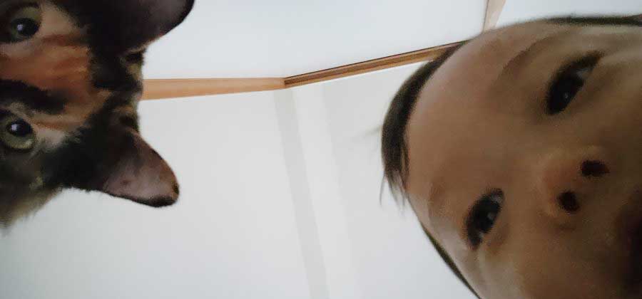 息子さんと一緒にスマホを覗き込むたぬ吉ちゃん【写真提供:ヤマアラシ(@sinicca343)さん】