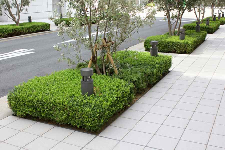 都会の街中にも自然がある光景に感激（写真はイメージ）【写真：PIXTA】