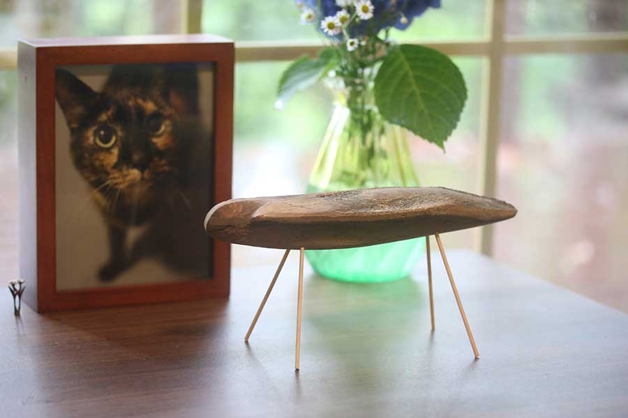 カツオ節で作られた精霊馬と、それを写真からじっと見つめるプチュちゃん【写真提供：アトリエpuchuco（@puchuco709）さん】