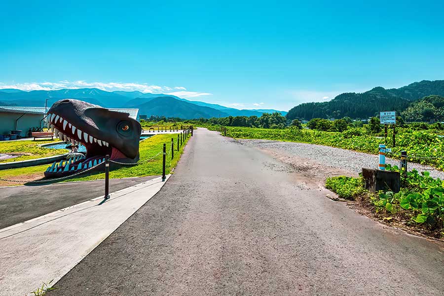 豊かな自然が広がる福井の光景に感動（写真はイメージ）【写真：写真AC】