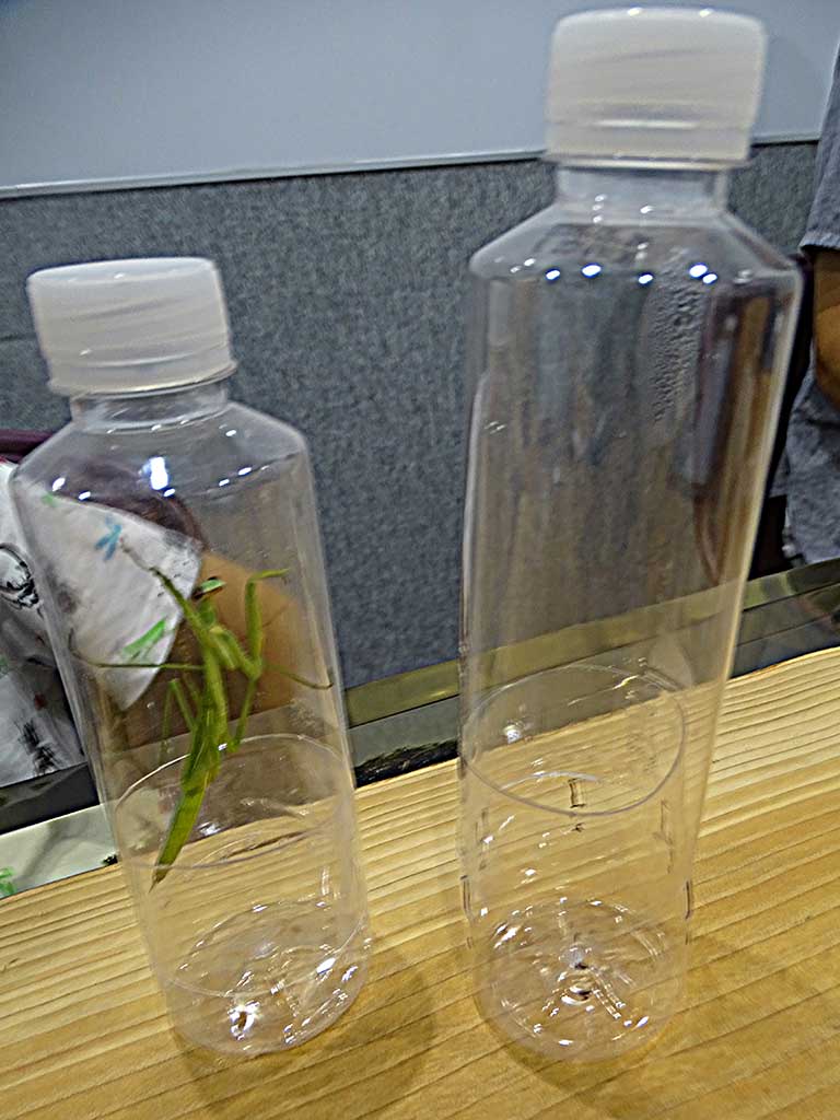 【写真：Hint-Pot編集部】