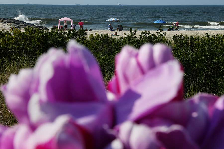 ニューヨークのロングビーチ【写真：Aflo】