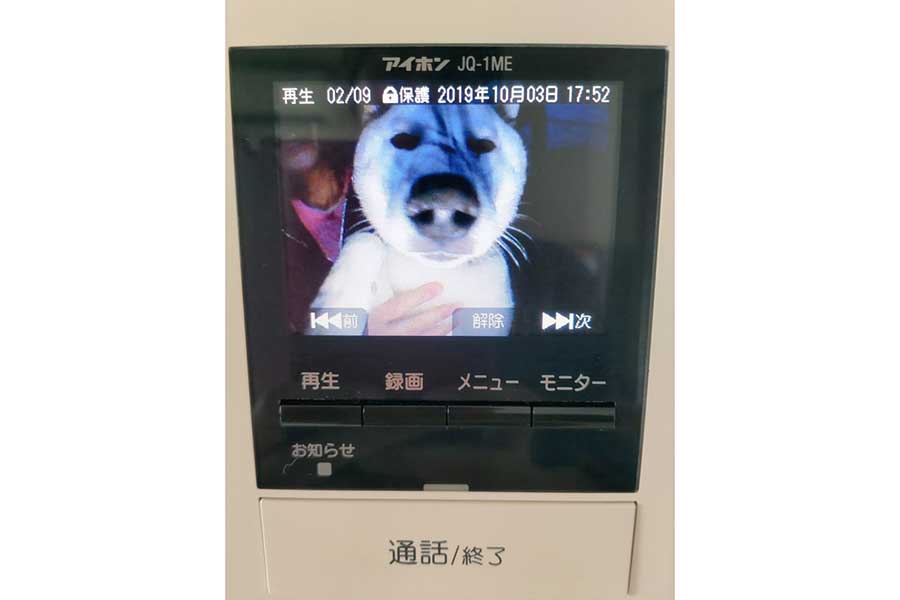 まるでホラー!?　反響を呼んだしろくんの衝撃ショット【写真提供：ちろ（@xYWsDRmcZE9m1g7）さん】