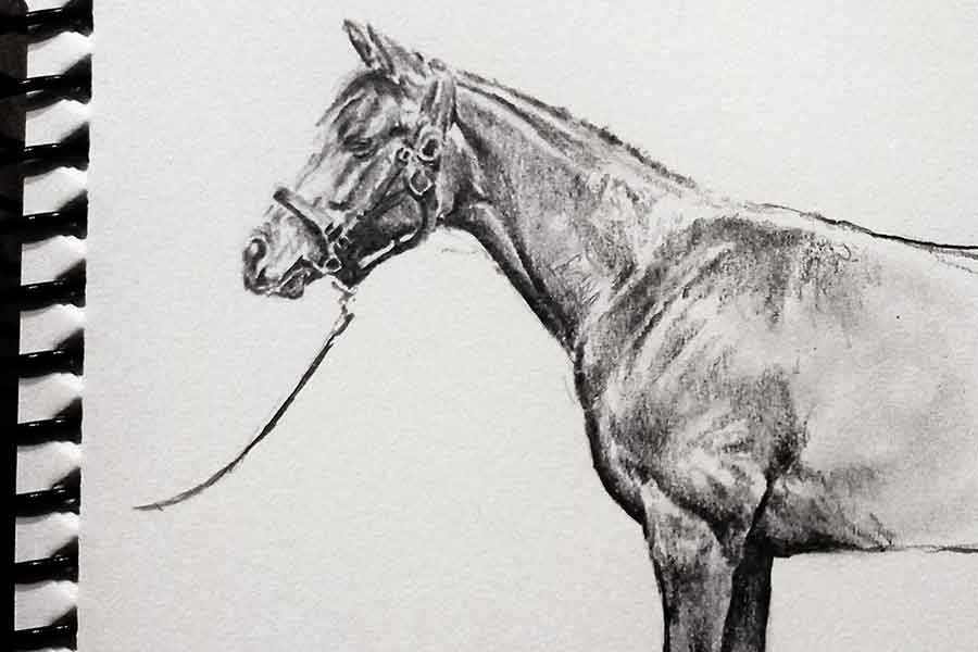 リアルな馬の鉛筆画 12680784 ホビー・楽器・アート リアルな馬の鉛筆画