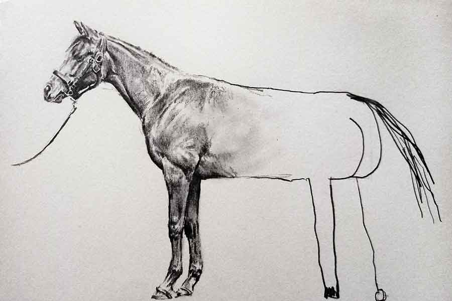 話題になった一枚【写真提供：Tom（@tom_naoji）さん】