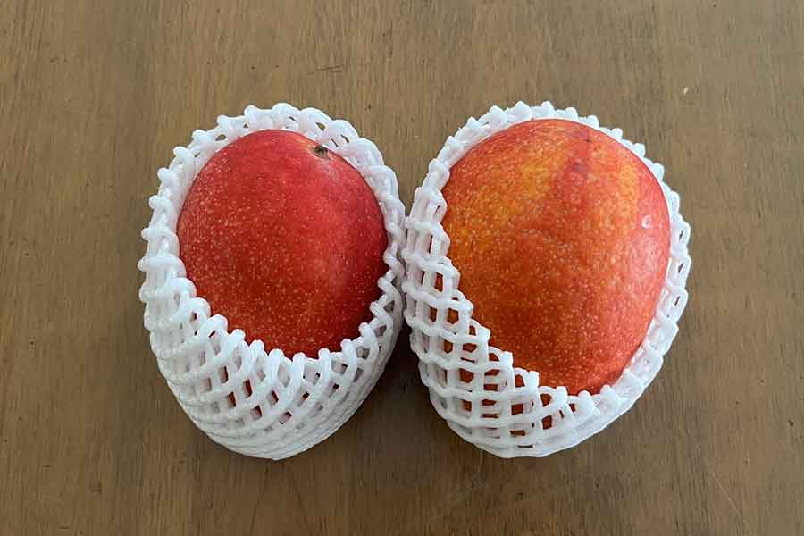 日本で売っている果物の価格に衝撃。とくにマンゴーはメキシコと大きな差が（写真はイメージ）【写真：写真AC】