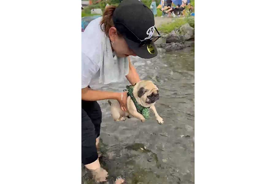 川に入る前から“エアいぬかき”をするうめちゃん(スクリーンショット)