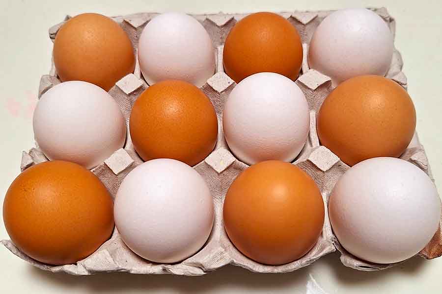 “物価の優等生”と呼ばれるなど、身近な食材である卵（写真はイメージ）【写真：写真AC】