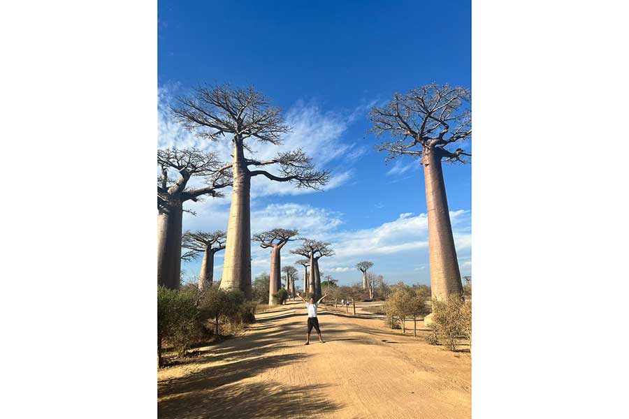 アフリカの地に立ち並ぶ、バオバブの木【写真提供：はせ 世界一周（@Hase_dreaming）さん】