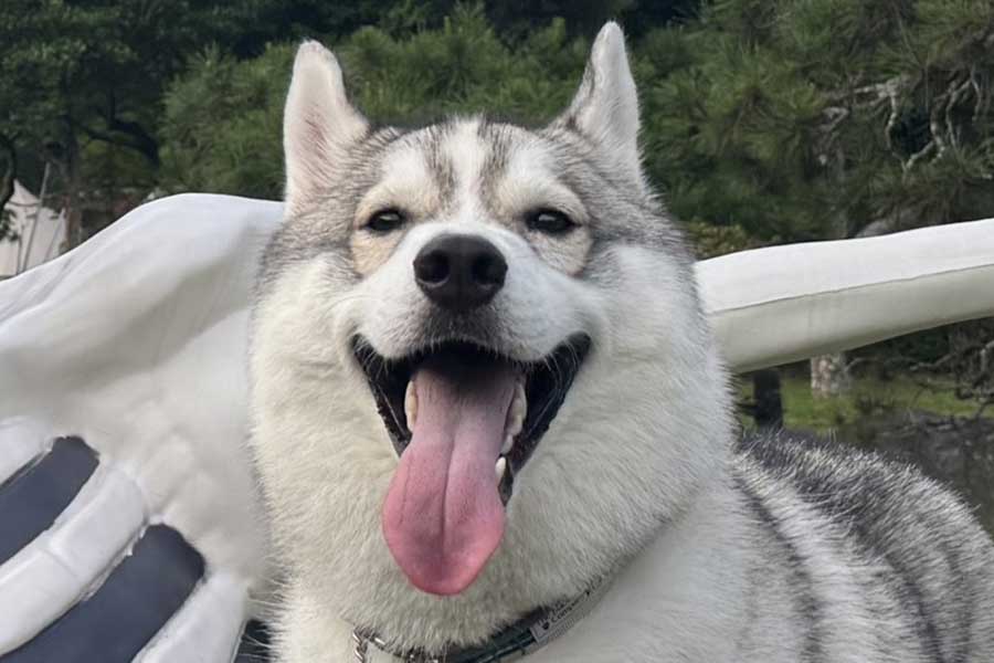 笑顔で写るサムくんの背後には…【写真提供：sam（@sa_________mu）さん】