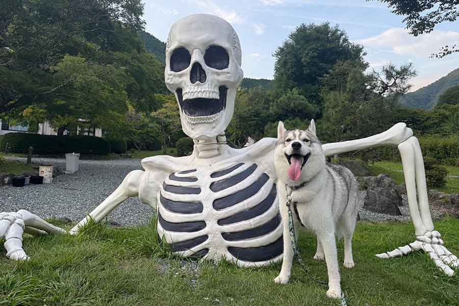 骸骨とサムくんの楽しそうなツーショット【写真提供：sam（@sa_________mu）さん】