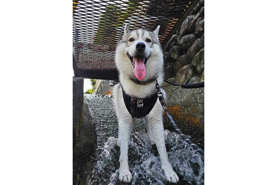 笑顔で川遊びを楽しむサムくん【写真提供：sam（@sa_________mu）さん】