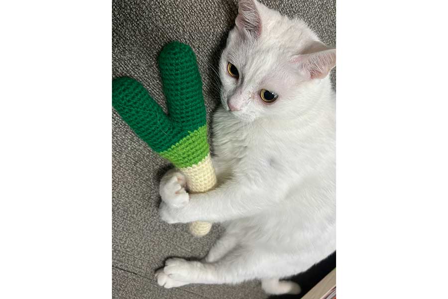 ネギのおもちゃを抱きかかえる、ぐうちゃん【写真提供:ぐう(@zu_to_guu)さん】