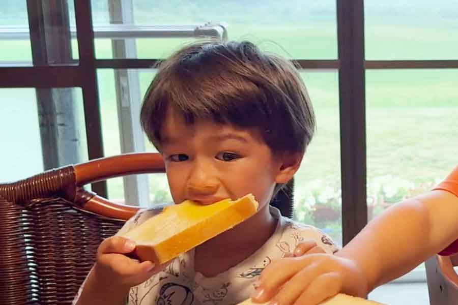 日本の食パンが気に入ったミオくん（スクリーンショット）