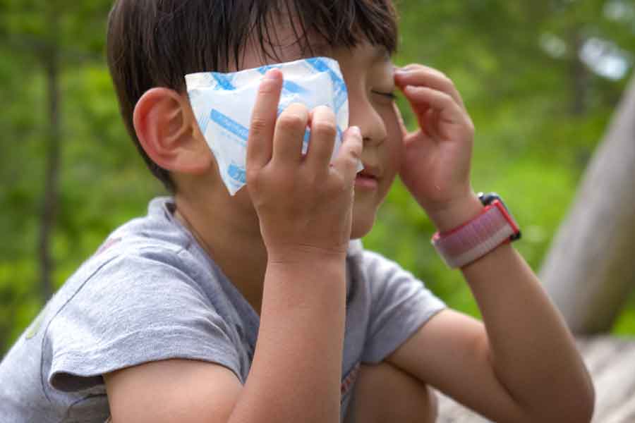 保冷剤を使った熱中症対策が有効（写真はイメージ）【写真：写真AC】