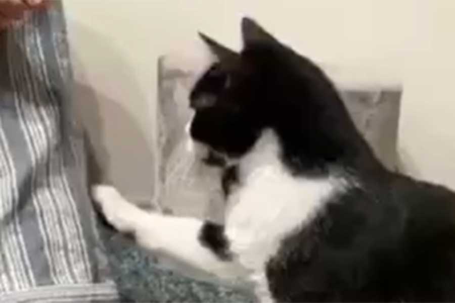 オリビアちゃんが手を伸ばす、その先には…（スクリーンショット）