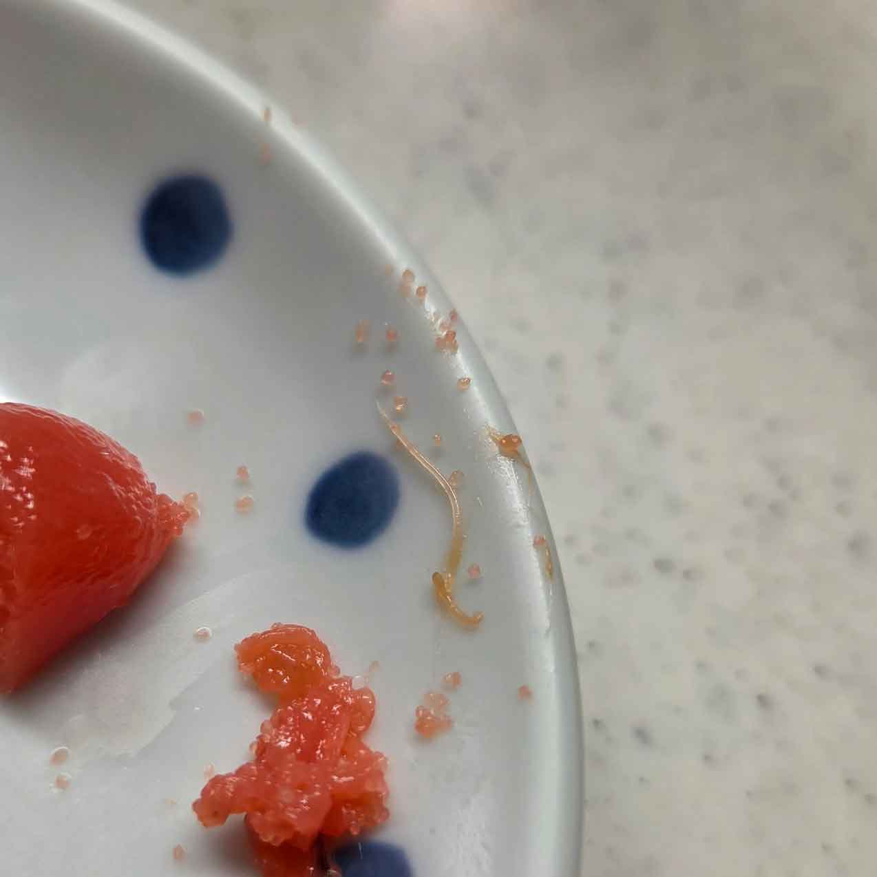 【写真提供：投稿者】