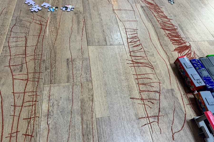 「うとうと」から覚めたところで目撃した光景に愕然【写真提供：わたなべゆきこ（@yukikosan_t）さん】