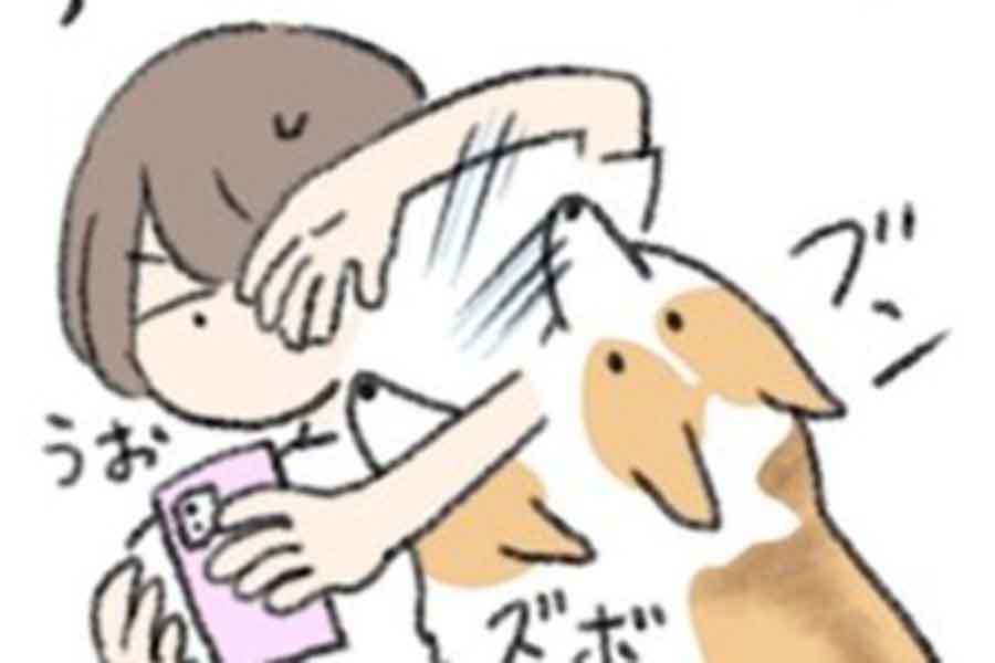 漫画のワンシーン。勢いよく鼻でドアを開けようとするコーギーのこたろうくん【画像提供:うみべの(@sakkkuri)さん】