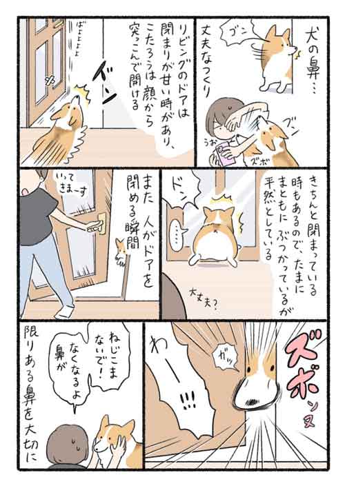 ドアを閉めるときの行動にびっくり（スクリーンショット）