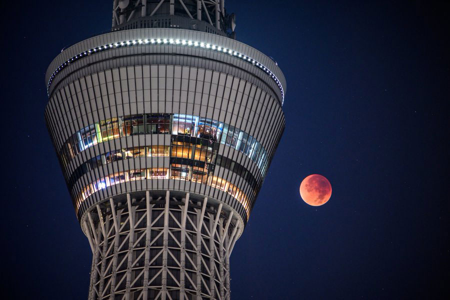 スカイツリーと皆既月食を撮影【写真提供:reonides(@reonides)さん】