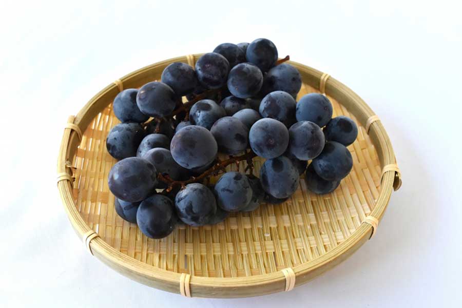 栄養豊富なブドウ（写真はイメージ）【写真：写真AC】