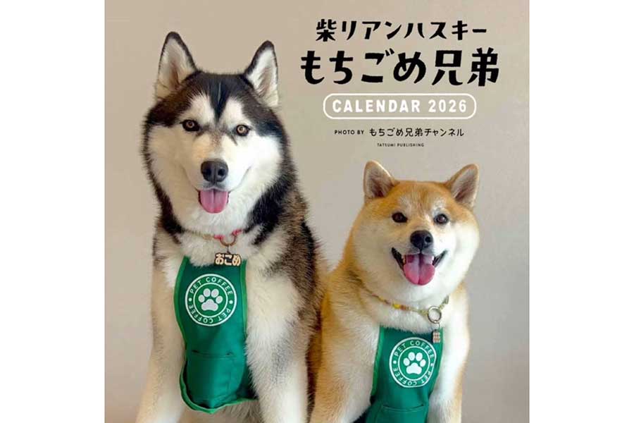 一緒に暮らす(左から)おこめくんとおもちくん【写真提供:もちごめ兄弟(@mochigome810)さん】