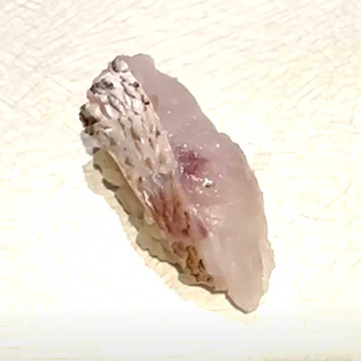 高級魚ノドグロの握り（スクリーンショット）